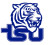 TSU Big Blue Intercollegiate