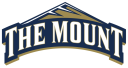 Mount St. Mary's University