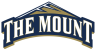 Mount St. Mary's University