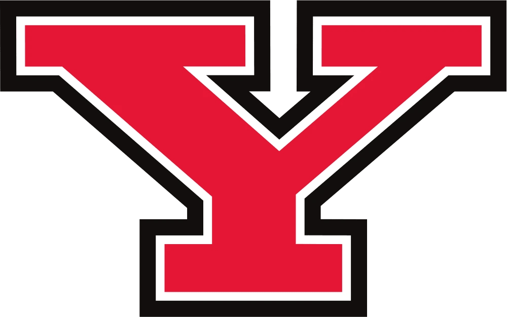 1671085721youngstown state penguins logo