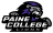 NCCAA Regional Hosted by Paine College