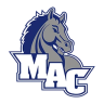 Mount Aloysius College