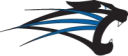 University of Saint Francis