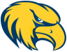 Rock Valley College