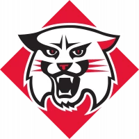 Thumb 1667519995davidson wildcats logo