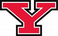 Thumb 1671085721youngstown state penguins logo