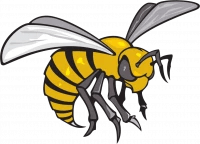 Thumb 1671137664alabama state hornets logo