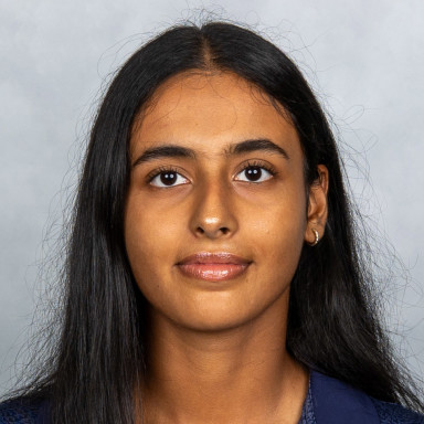 Puneet Bajwa