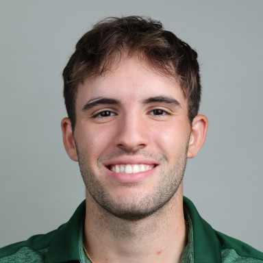 Dimitri Mihelakos