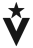 Veritex Bank Collegiate