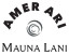 Amer Ari Invitational