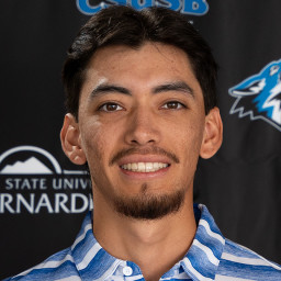 Andres Navarro