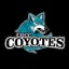Coyote Shootout - Chandler-Gilbert CC