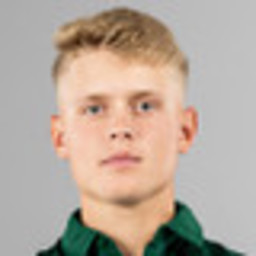 Nino Palmquist