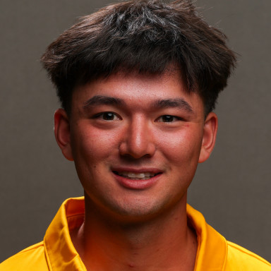 Maxwell Tjoa