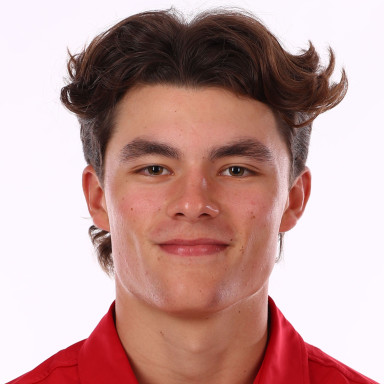 Harry Satterlee