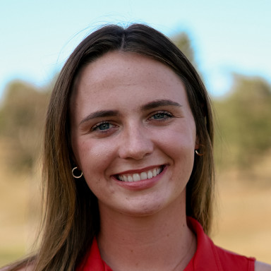 Addison Livorno