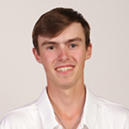 Reed Theiss