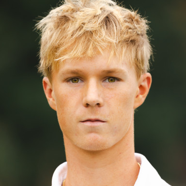 Davis Sheets