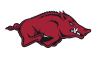 University of Arkansas, Fayetteville