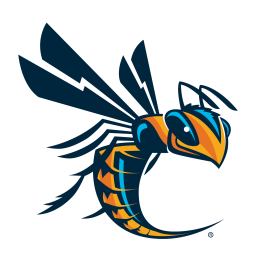 Cedarville University