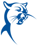 Collin College