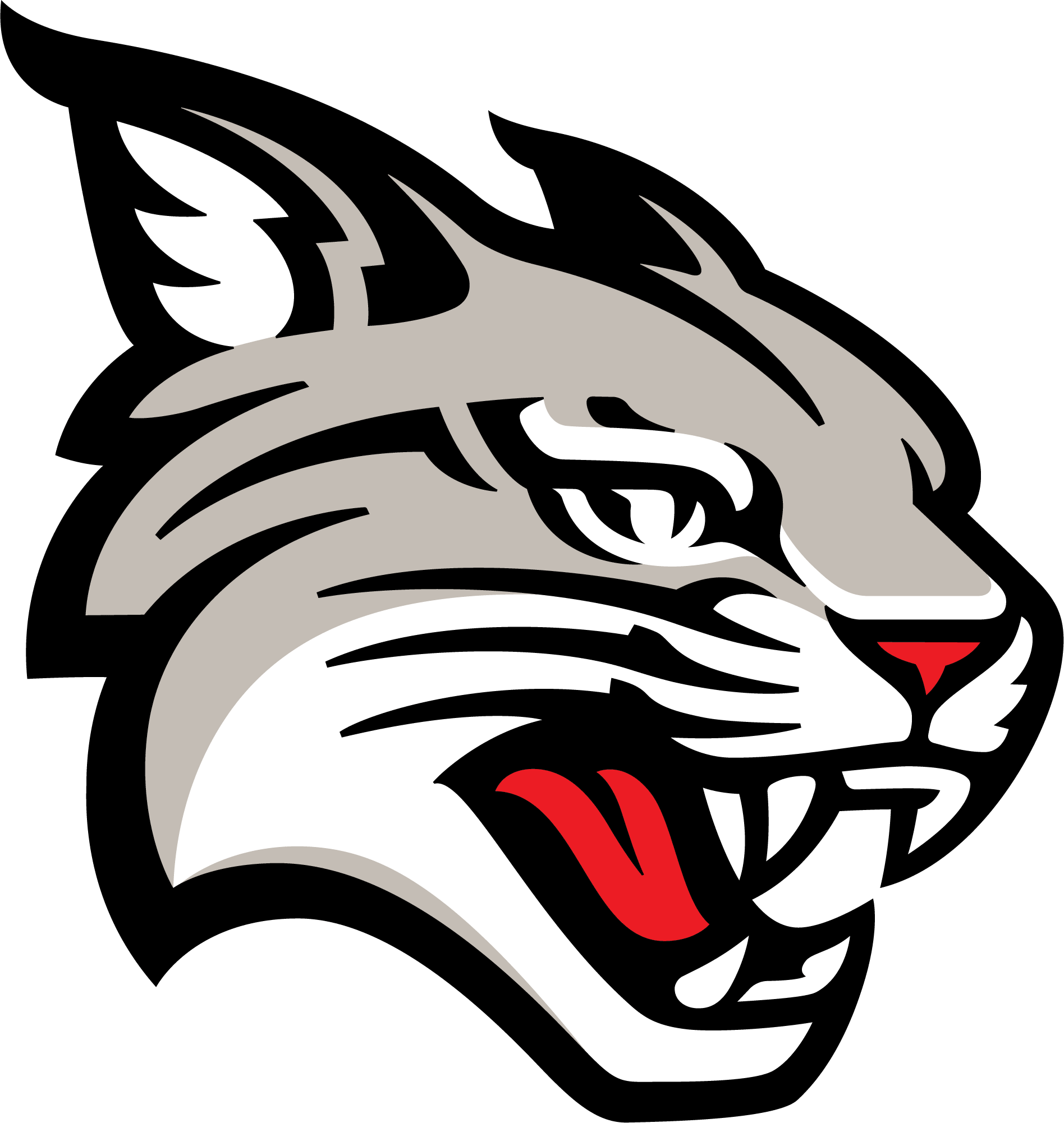 Davidson 8227fa73 305f 4f28 8e20 521760fb2f0a