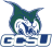 Georgia College