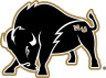 Harding University