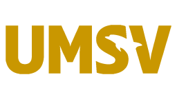 College of Mount Saint Vincent
