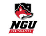 North Greenville University