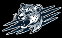 Southwestern Illinois College