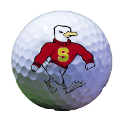Salisbury University