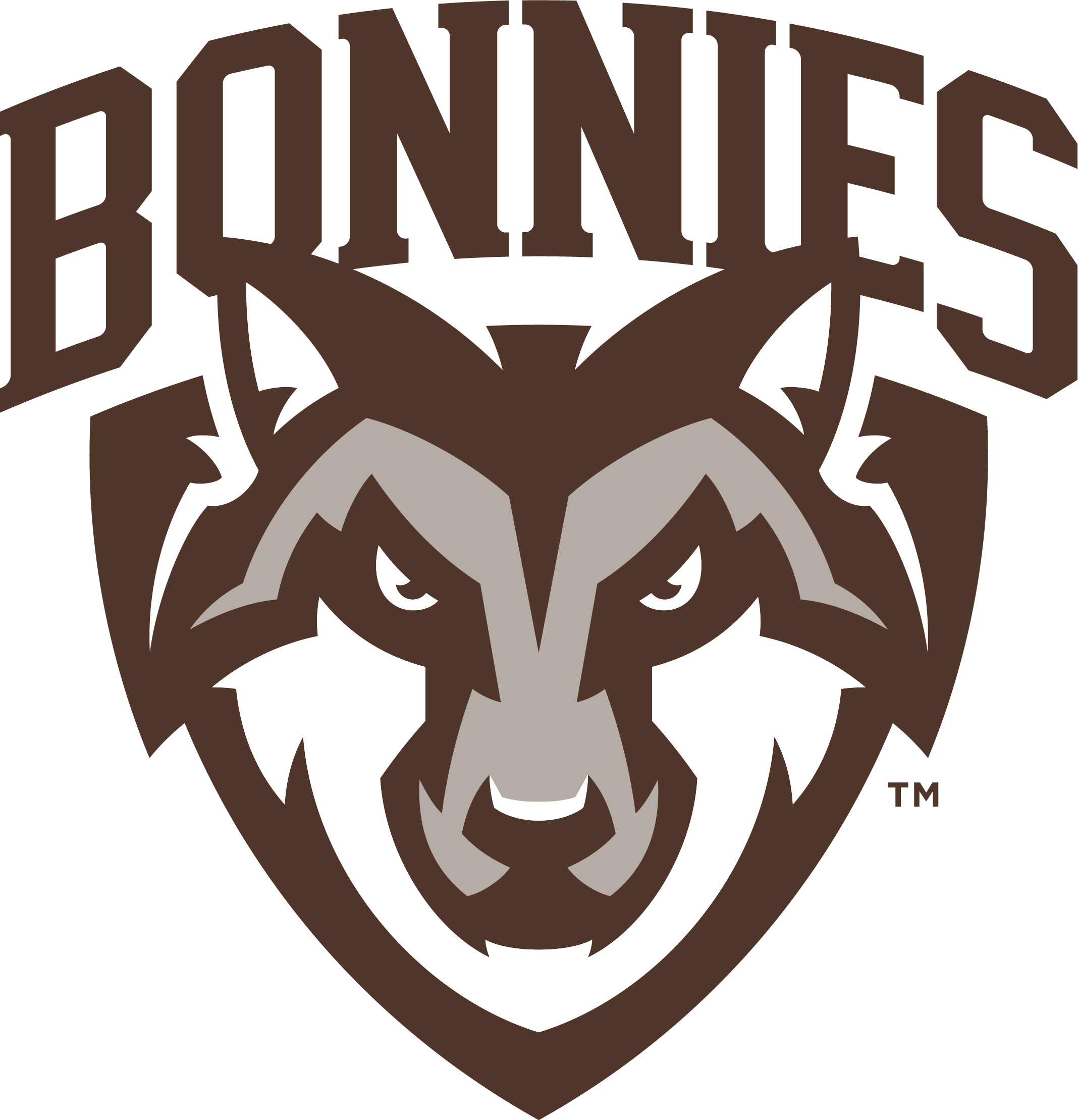 St. Bonaventure University