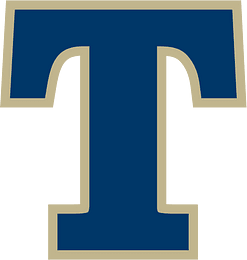 Trine 69515911 915b 4a63 9b3a cebf4ec1180d