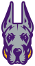 University at Albany