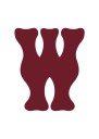 Waseda University