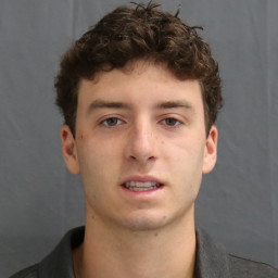 Jackson Colaner