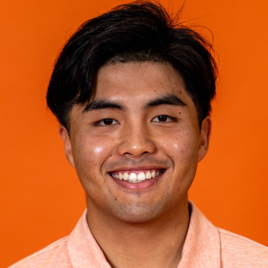 Phalatphon Viboonviriyasakul