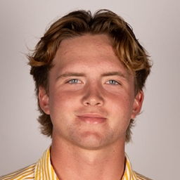 Drew Parsons