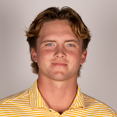 Drew Parsons