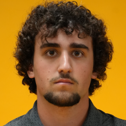 Telmo Sueiro