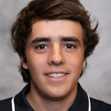 Guilherme Ziccardi