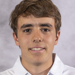Guilherme Ziccardi