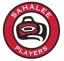 Sahalee Players Championship